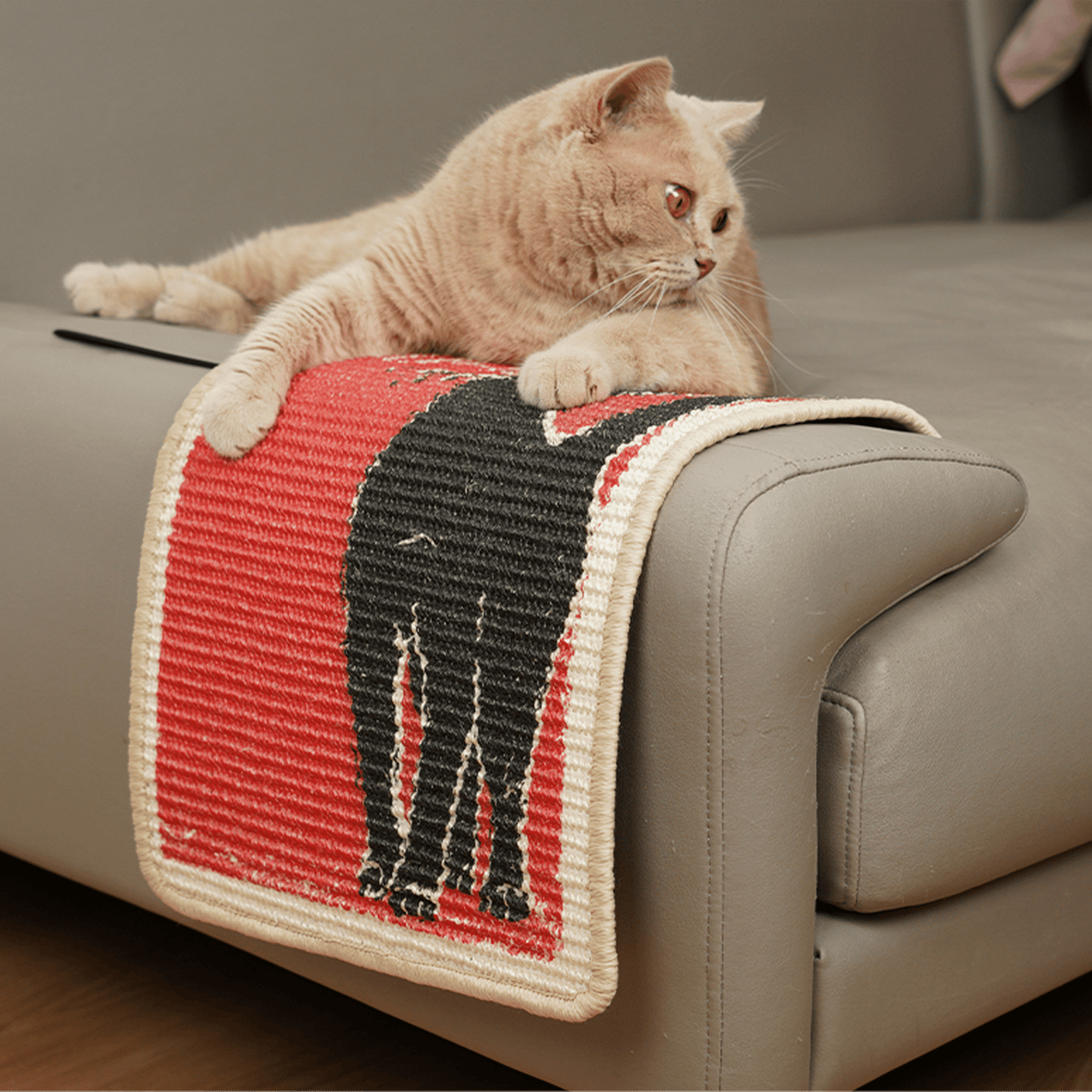 Black Cat Sisal Scratching Mat Furniture Protector Cute Scratcher Post - Soldaypet