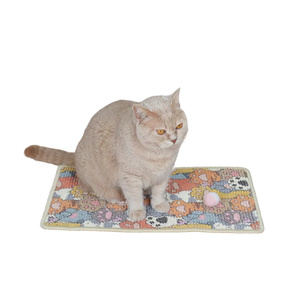 Cute Cat Scratching Non Toxic Play Mat for Pet - Soldaypet