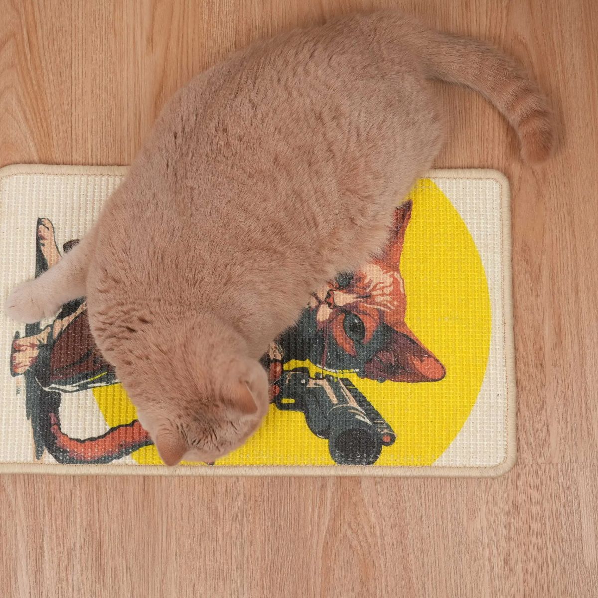 Natural Sisal Cat Scratching Mat - Soldaypet