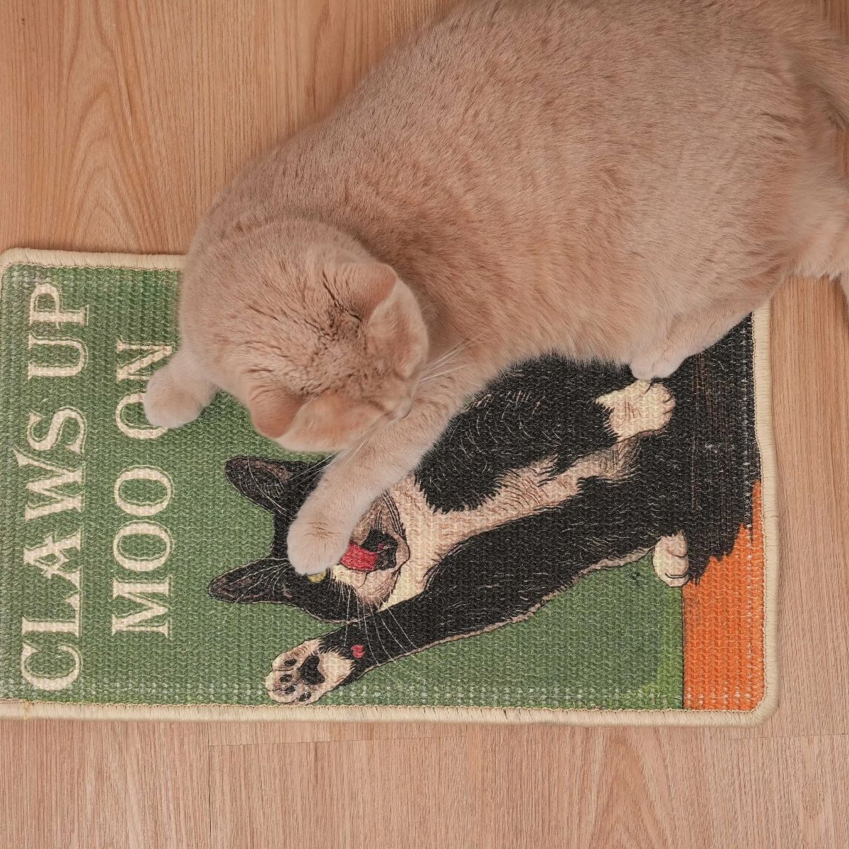 Natural Sisal Cat Scratching Mat - Soldaypet