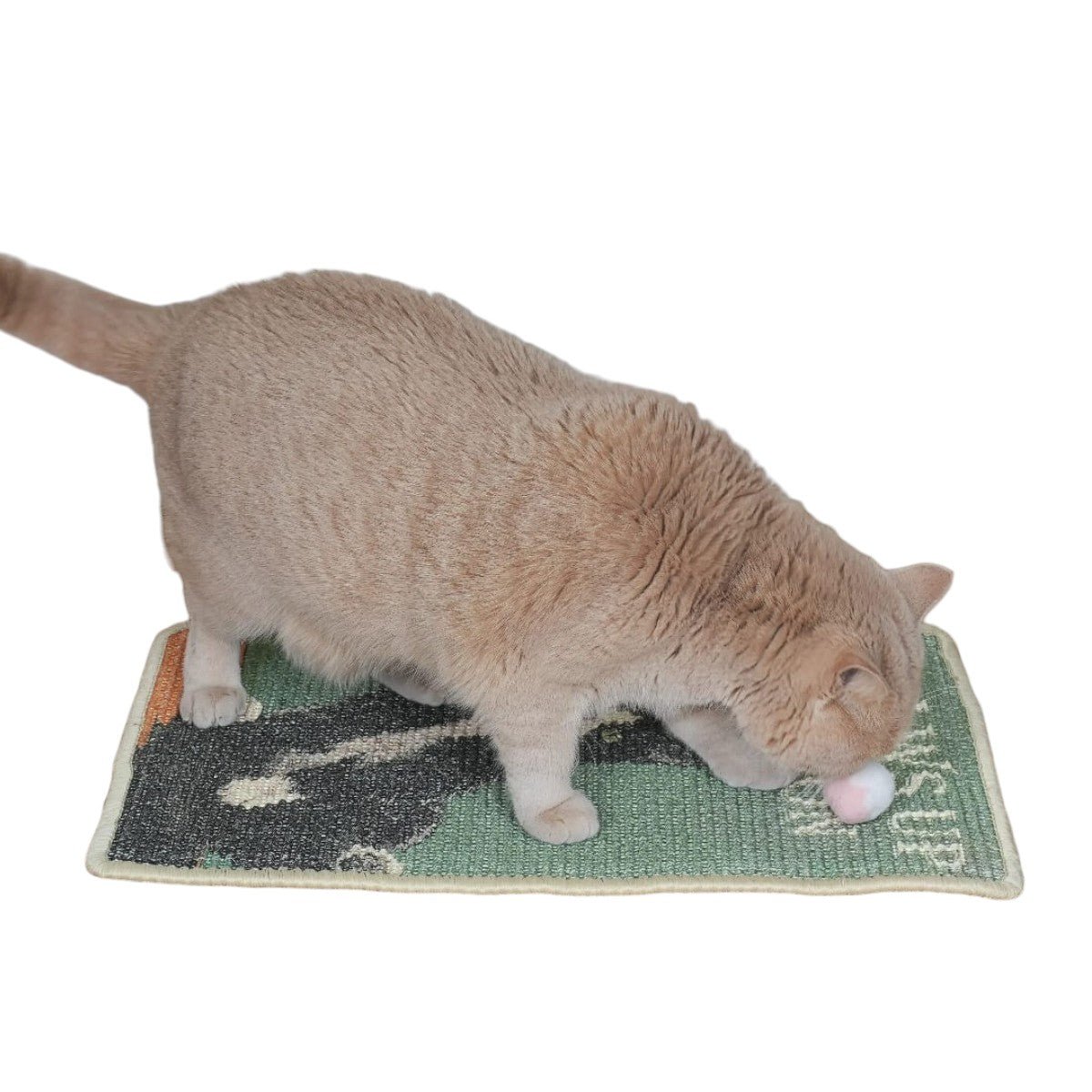 Natural Sisal Cat Scratching Mat with Velcro Tape - Soldaypet