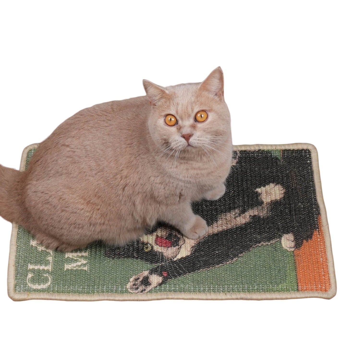 Natural Sisal Cat Scratching Mat with Velcro Tape - Soldaypet