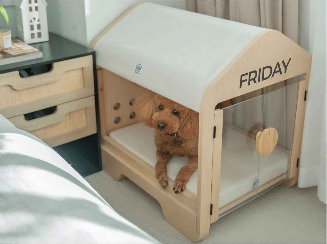 Eco-Friendly Pet Furniture Options to Consider - Soldaypet