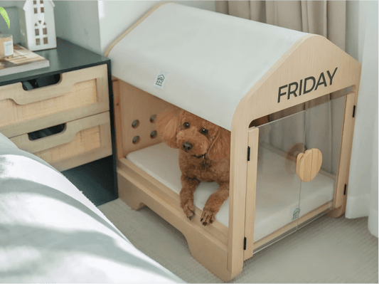 Eco-Friendly Pet Furniture Options to Consider - Soldaypet