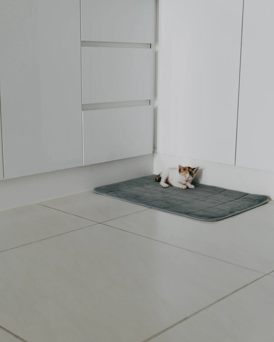 Functional Pet Food Mats for Tidy Eating Spaces - Soldaypet