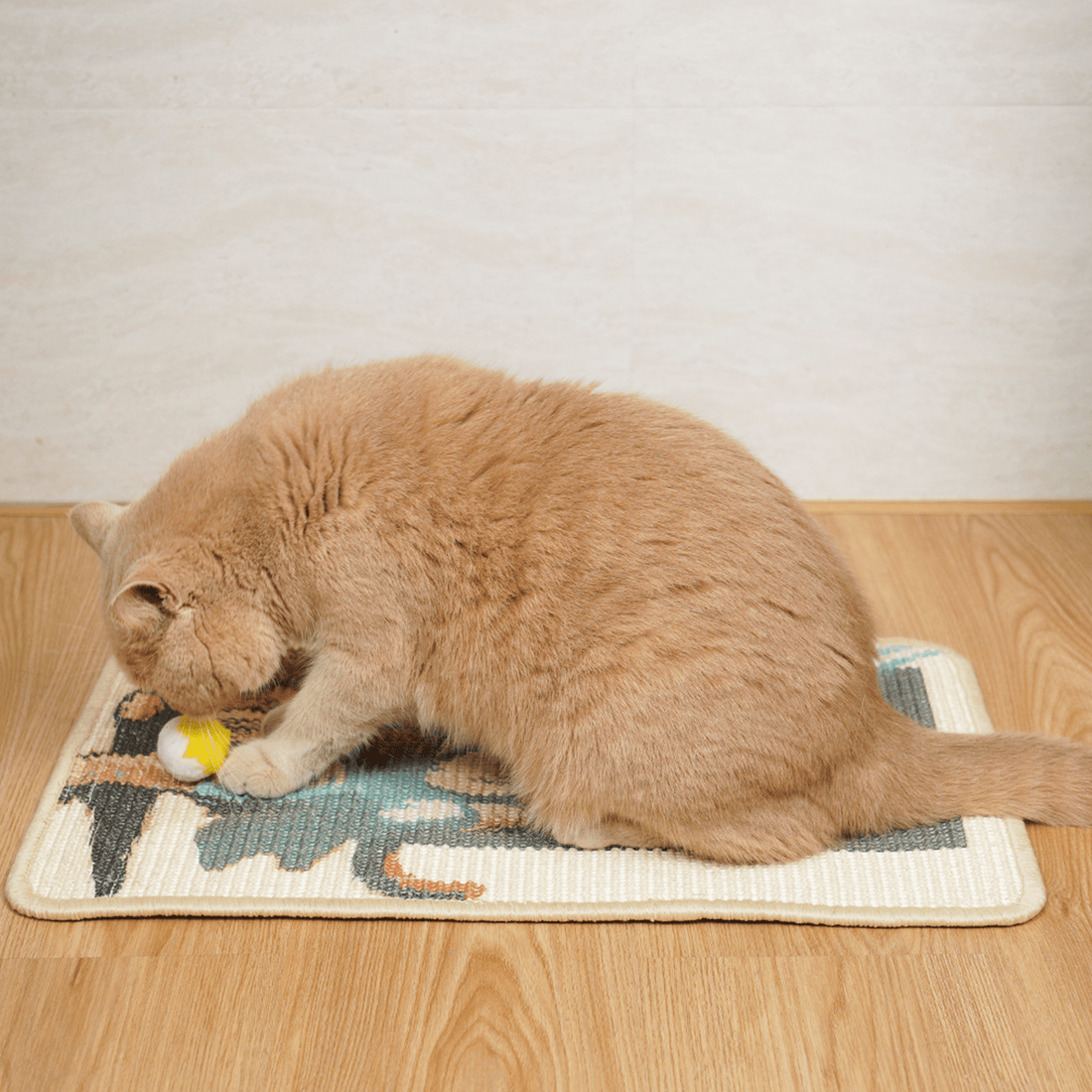How to Make a DIY Cat Sniffing Mat with Sisal? - Soldaypet