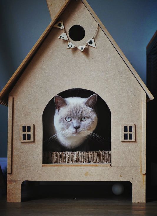 Chic Cat Trees That Enhance Your Home Decor
