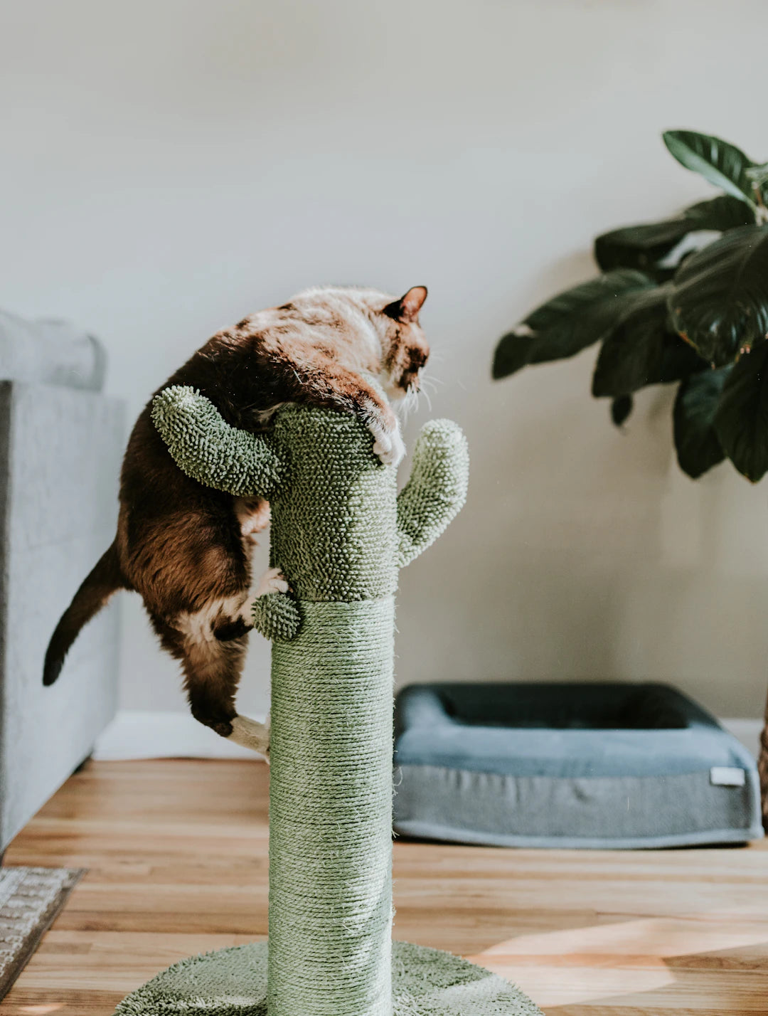 Stylish Cat Trees Featuring Cozy Napping Retreats