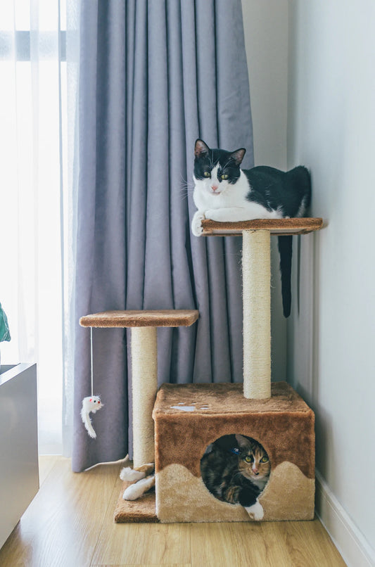 Charming Cat Trees Perfect for Cozy Living Spaces