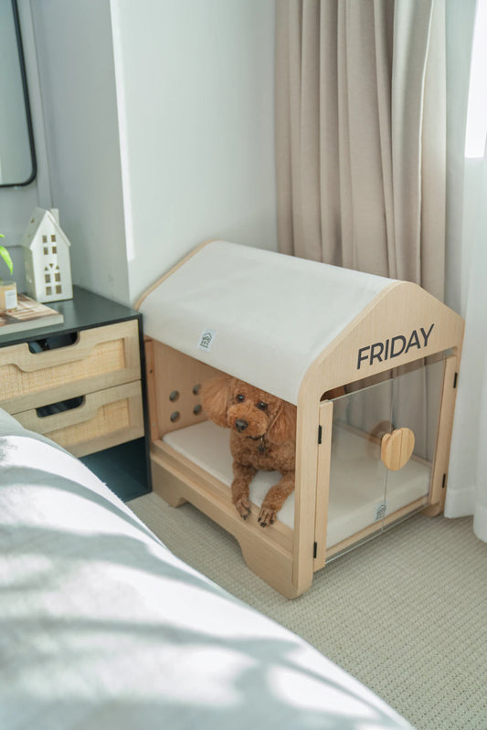 Eco-Friendly Pet Furniture Options to Consider