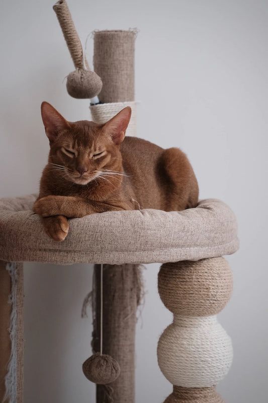 Essential Materials for Quality Cat Tree Construction