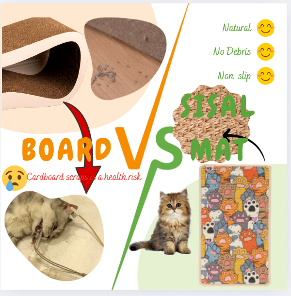 Sisal vs. Cardboard vs. Carpet Cat Scratchers: Which Material Really Works Best? - Soldaypet