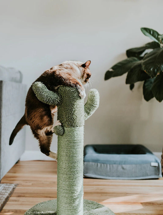 Stylish Cat Trees Featuring Cozy Napping Retreats - Soldaypet