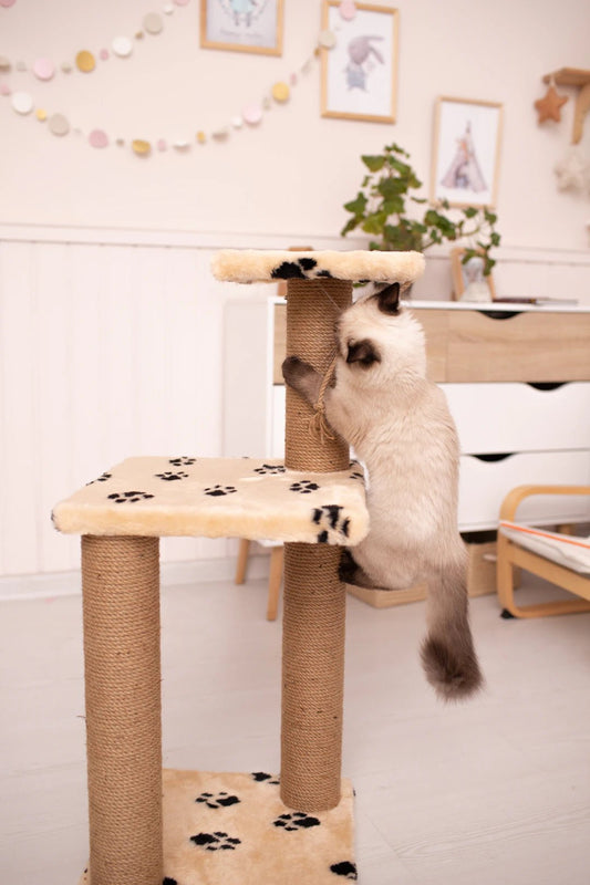 Stylish Cat Trees That Cater to Large Breeds and Modern Homes - Soldaypet