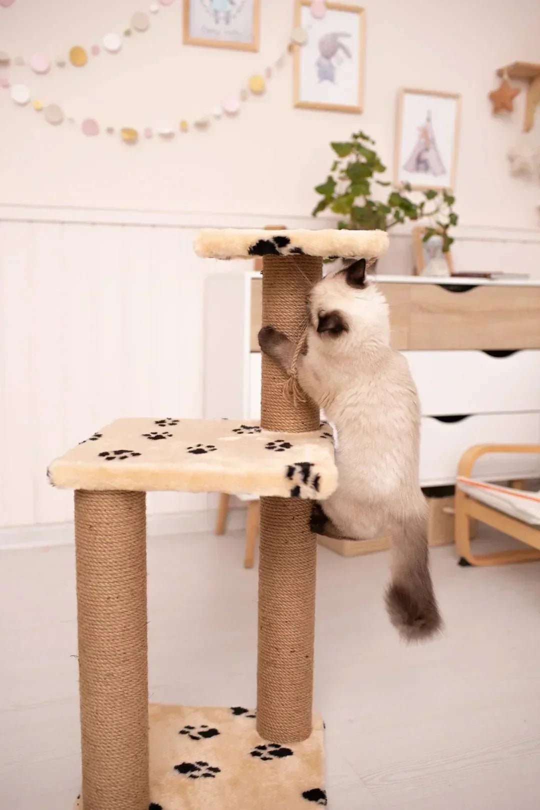 Stylish Cat Trees That Cater to Large Breeds and Modern Homes - Soldaypet