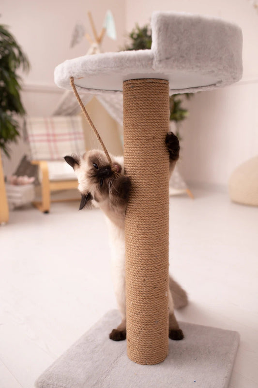 Stylish Cat Trees with Interactive Scratching Posts - Soldaypet