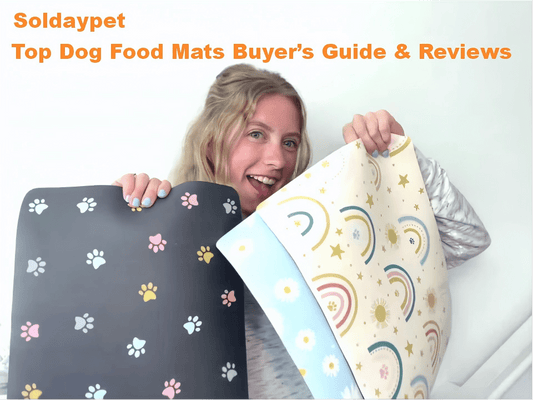Top Dog Food Mats in 2026 – Buyer's Guide & Reviews - Soldaypet