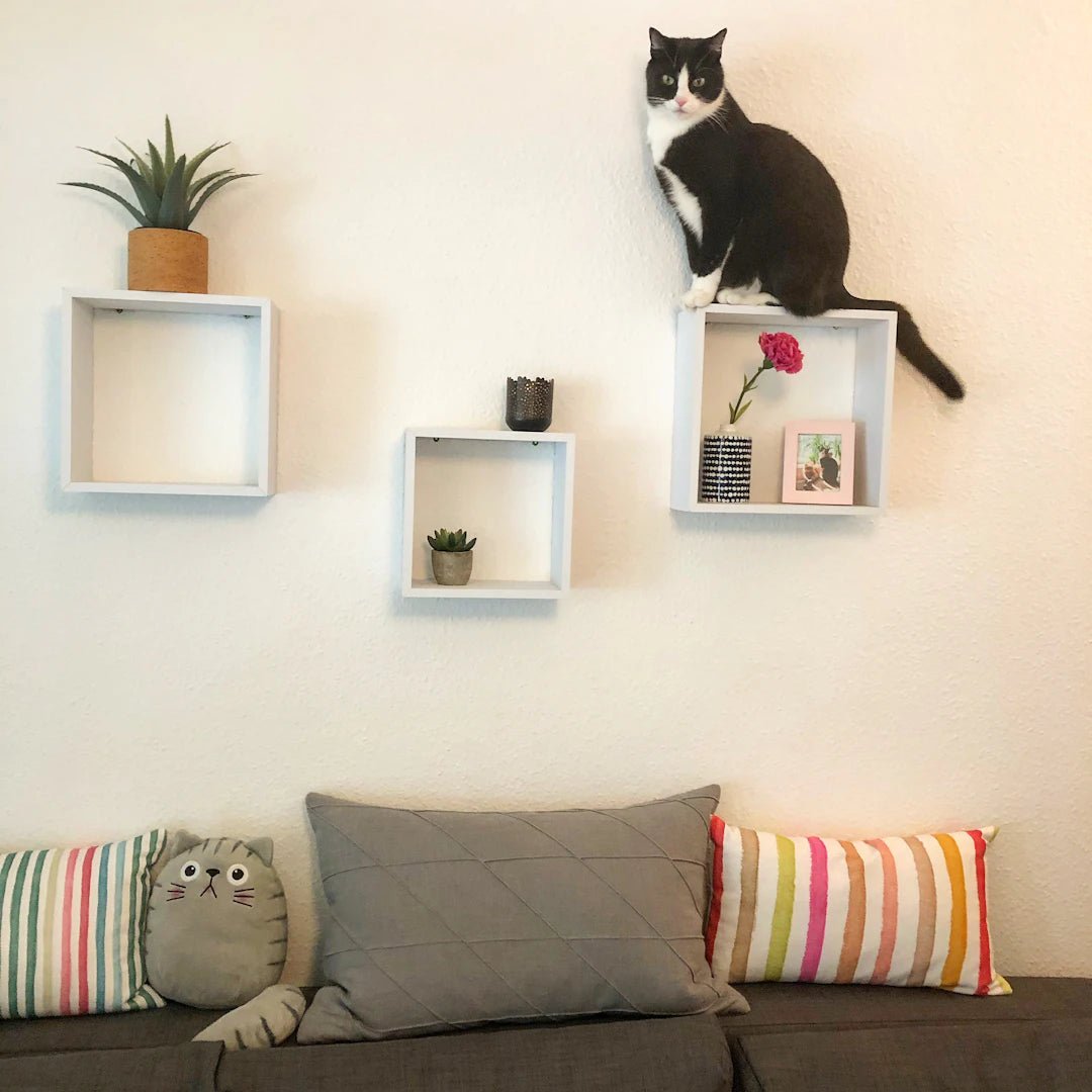 Unleashing Style: Top Trends in Pet Furniture Design - Soldaypet