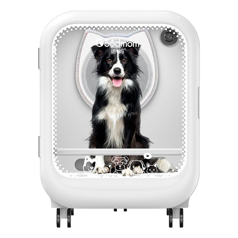 High-Airflow Pet Dryer Box with Negative Ion Technology