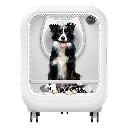 High-Airflow Pet Dryer Box with Negative Ion Technology