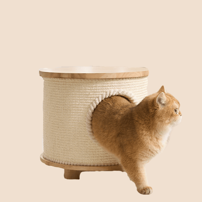 An orange cat stands beside a cylindrical cat condo with a woven cream body, light wood top and feet, and a circular opening behind it, against a plain warm beige background.