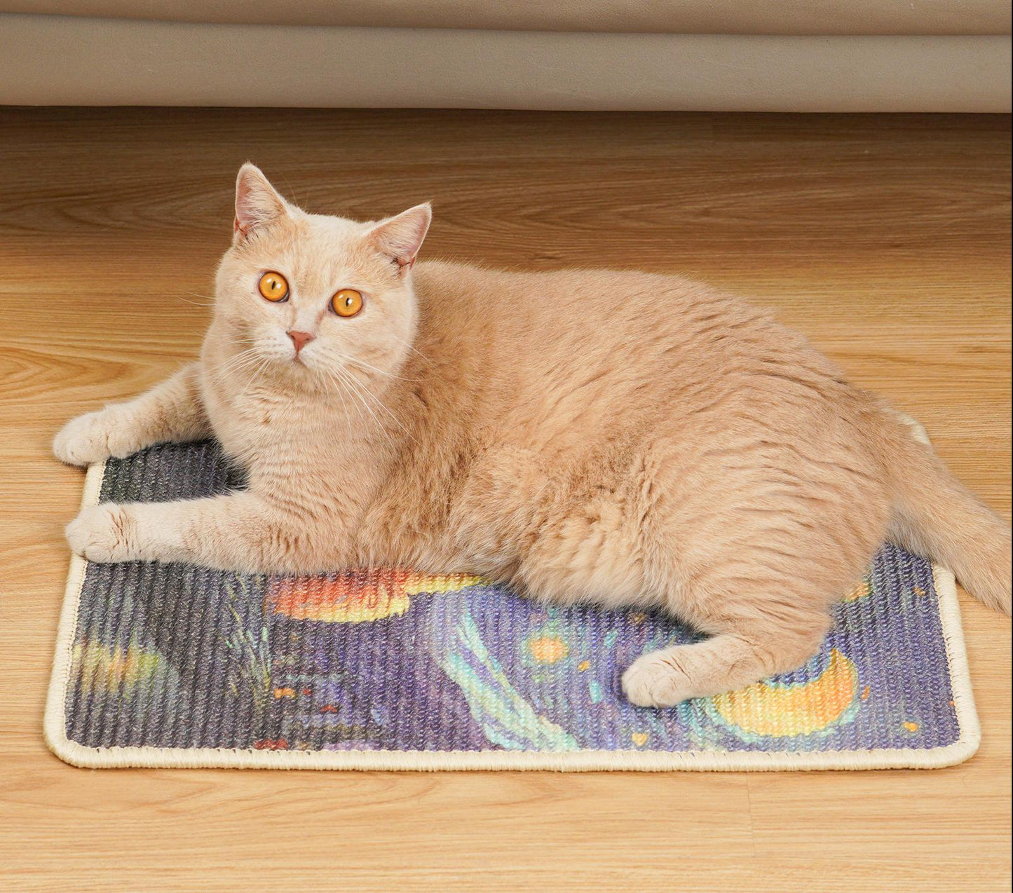 Tapis mural griffoir en sisal pour chat - Chat roux observant les étoiles