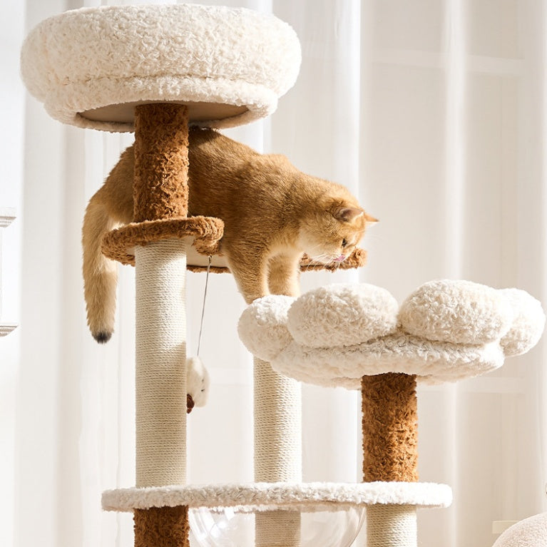 Cat climbing a multi-level cat tree with white walls in the background
