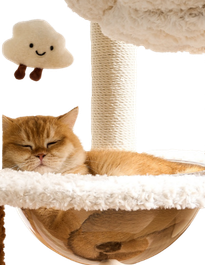 An orange cat rests on a fluffy cream-colored cat bed with a sisal scratching post and a small plush cloud toy floating above, set against a plain white background.