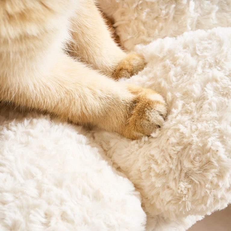 Close-up of a cat's paws on a fluffy white surface of the cat tree