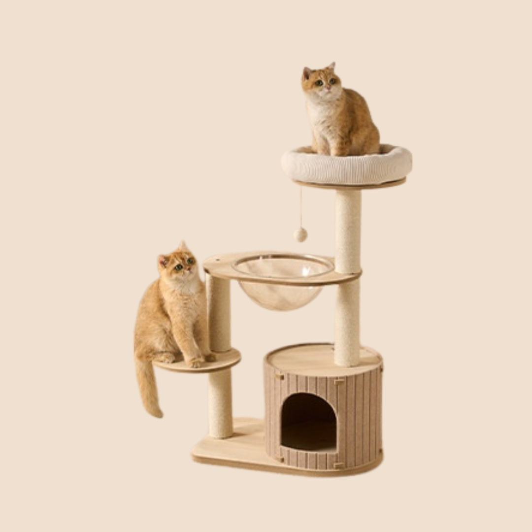 Maine Coon Cat Tree with Felt Cat Cave L01
