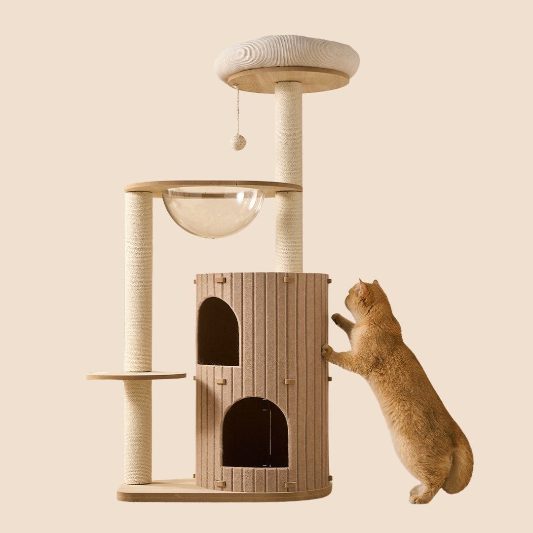 Multi-Level Cat Tree for Large Cats | L02