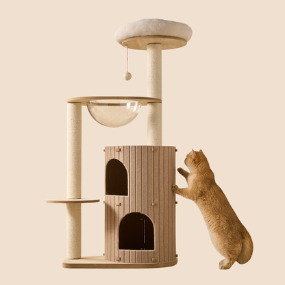 Multi-Level Cat Tree for Large Cats | L02