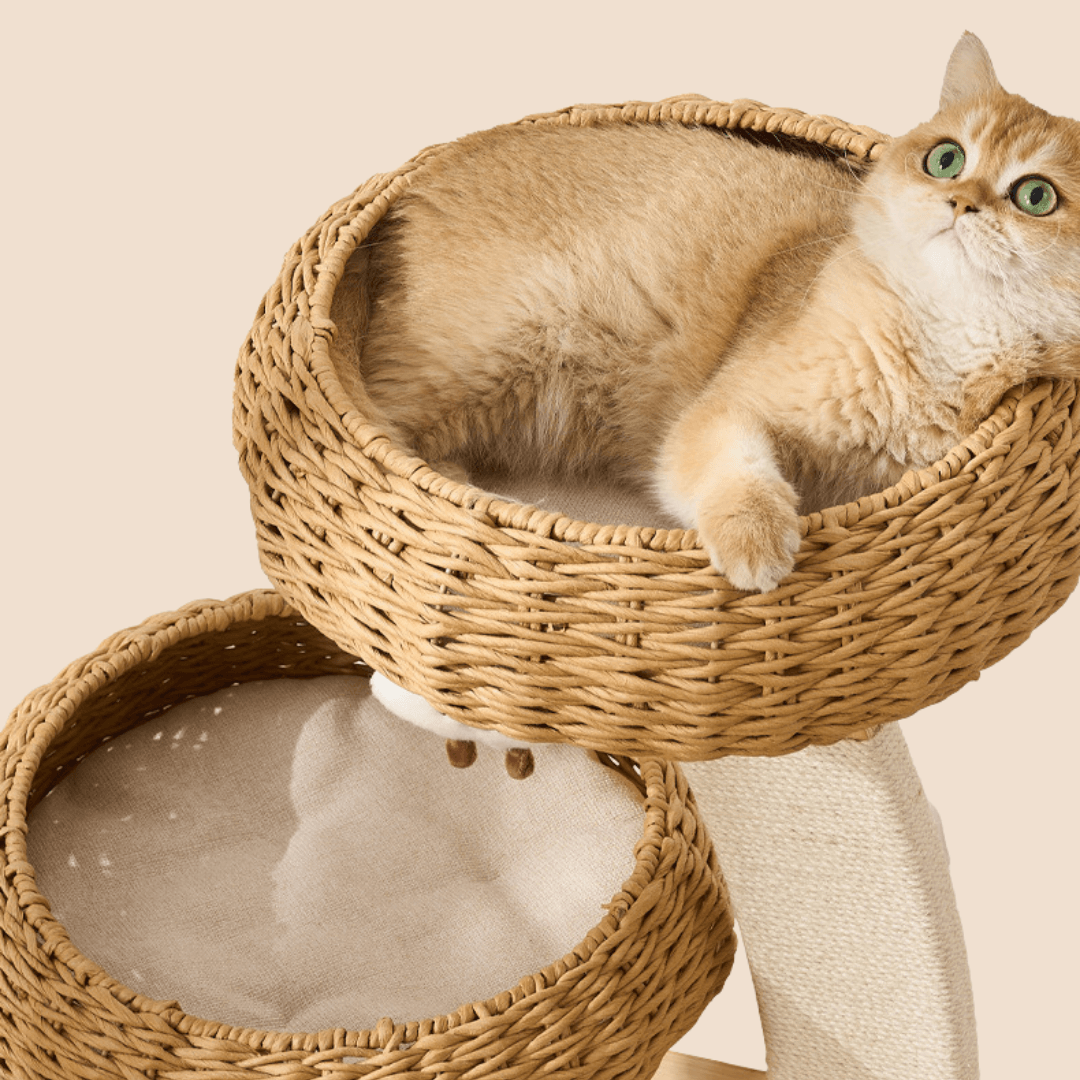Rattan Cat Tree Tower for Small Apartment TB01