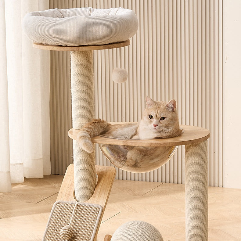 A light orange cat sleeping comfortablely in the space capsule cat bed of the white cat tree.