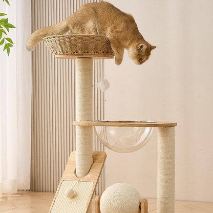 Cat climbing a wooden cat tree with a beige wall and plant in the background