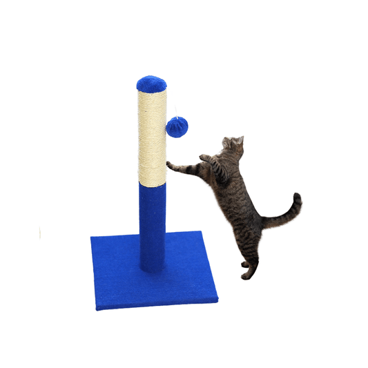 Blue Cat Scratching Post with Interactive Toys - Soldaypet