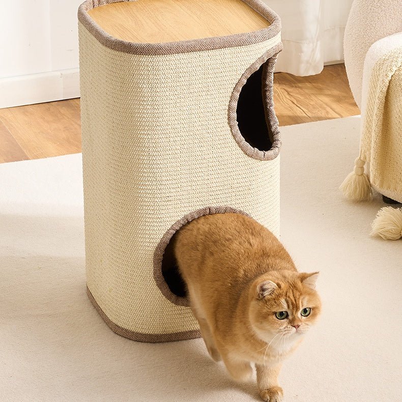 A golden cat walks past a cylindrical cat condo in a bright indoor room. The large condo tree is wrapped in beige sisal rope with taupe trim and has two openings, one on top and one on the front, with a light wood top platform.