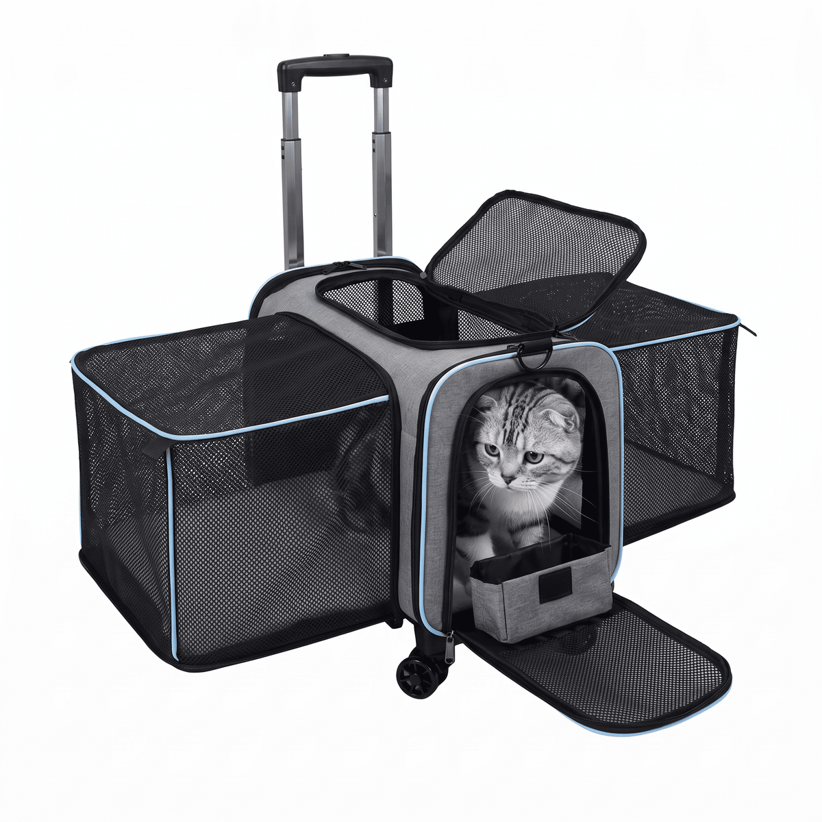 Detachable Wheeled Carrier for Cats and Small Dogs - Soldaypet