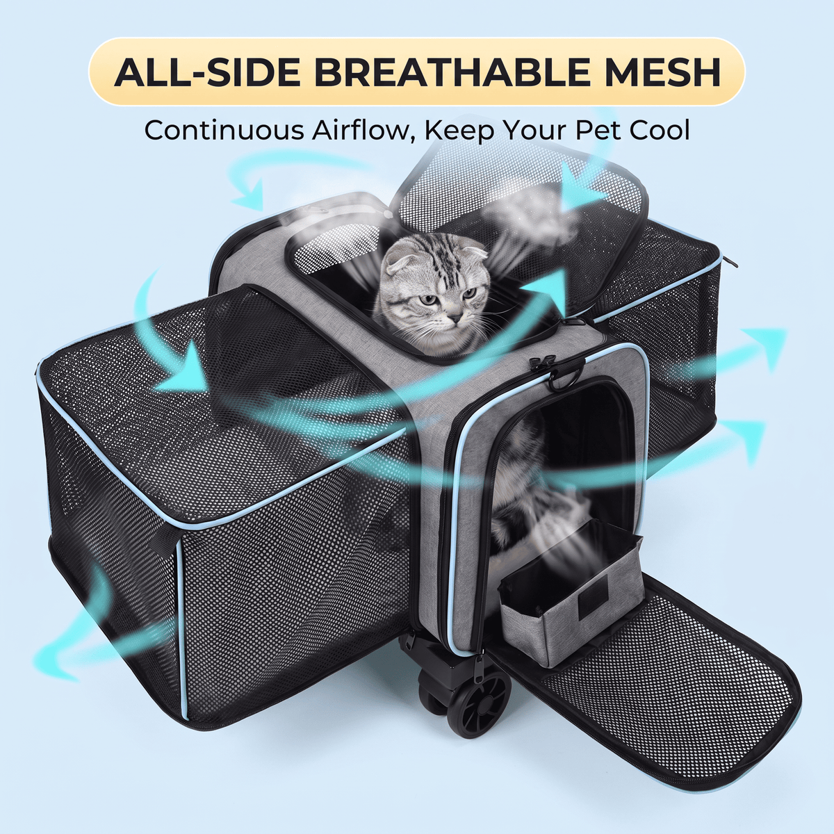 Detachable Wheeled Carrier for Cats and Small Dogs - Soldaypet