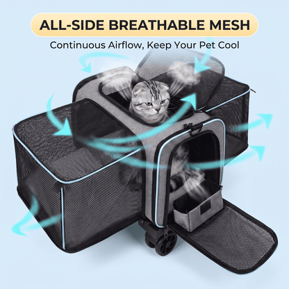 Detachable Wheeled Carrier for Cats and Small Dogs - Soldaypet