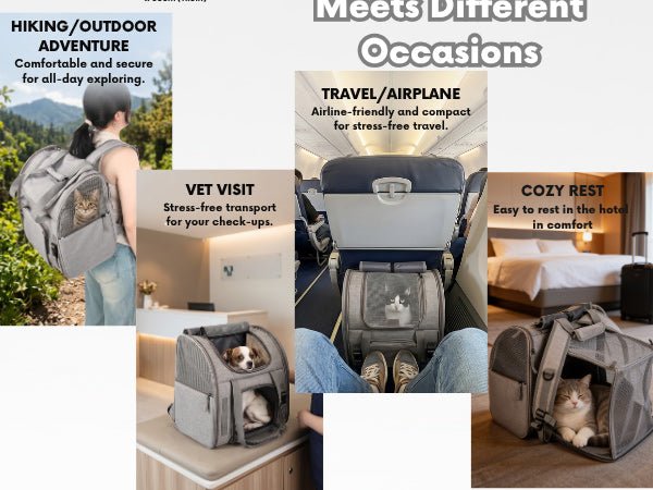 Expandable Cat Carrier Backpack for Pets Up to 15lbs - Soldaypet