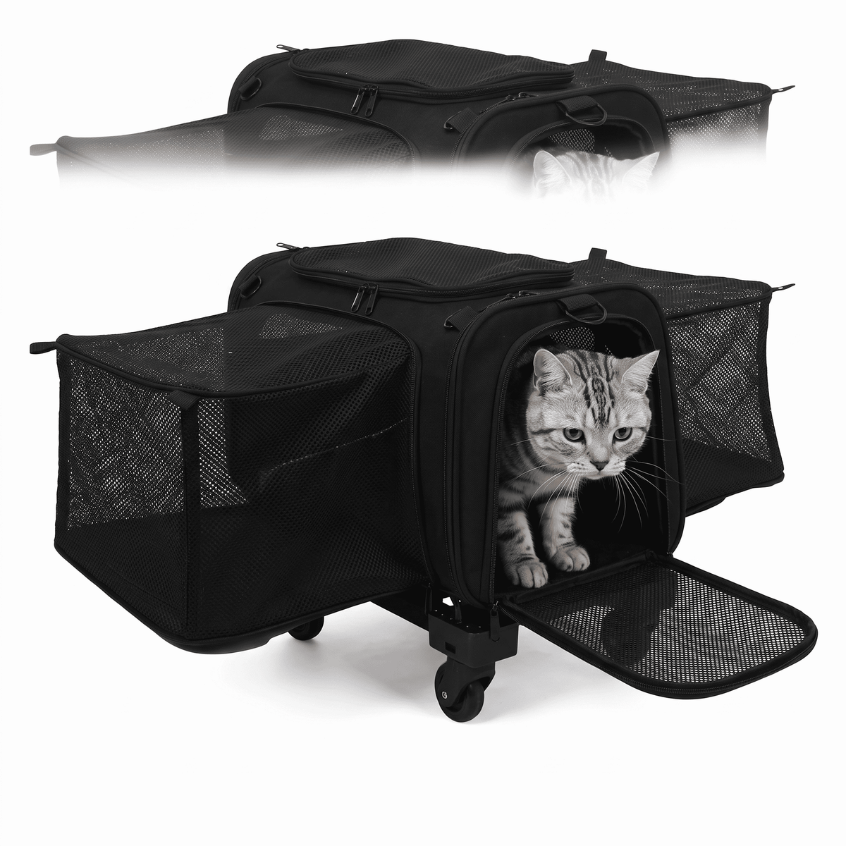 Expandable Rolling Cat Carrier with Lockable Wheels - Soldaypet