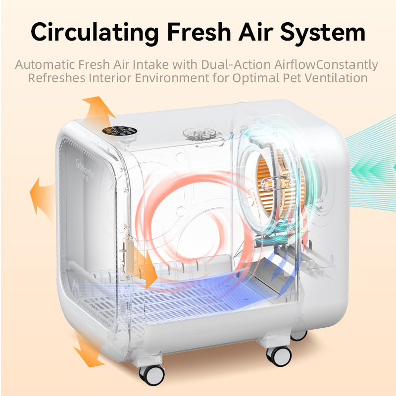 High - Airflow Pet Dryer Box with Negative Ion Technology - Soldaypet