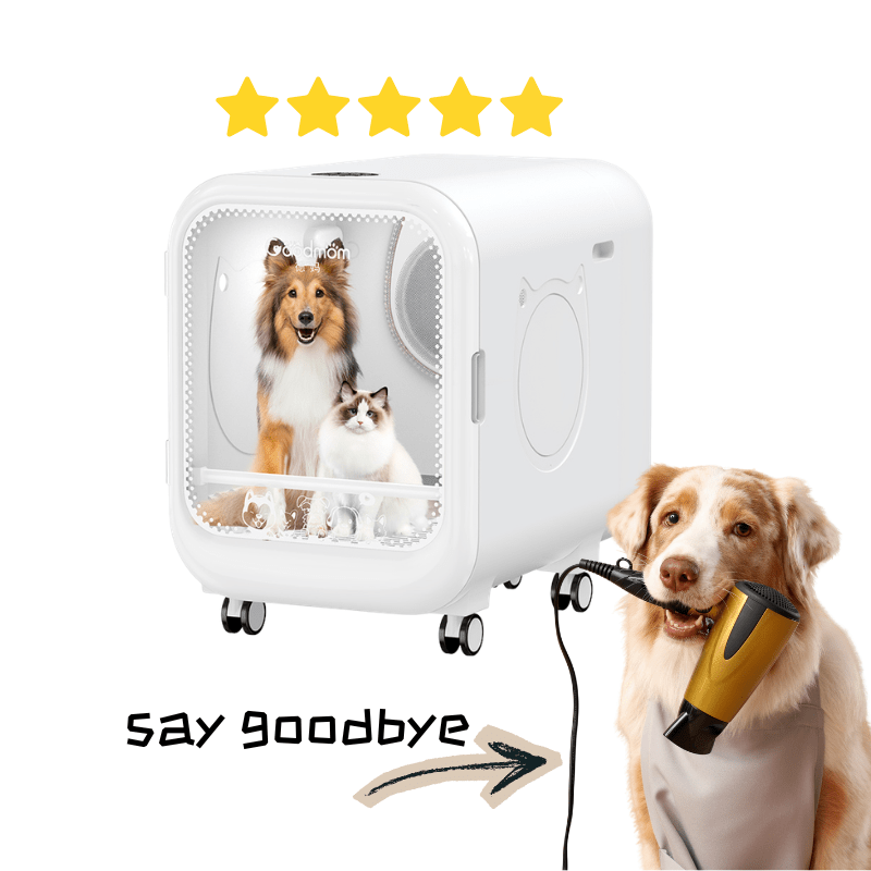 High - Airflow Pet Dryer Box with Negative Ion Technology - Soldaypet