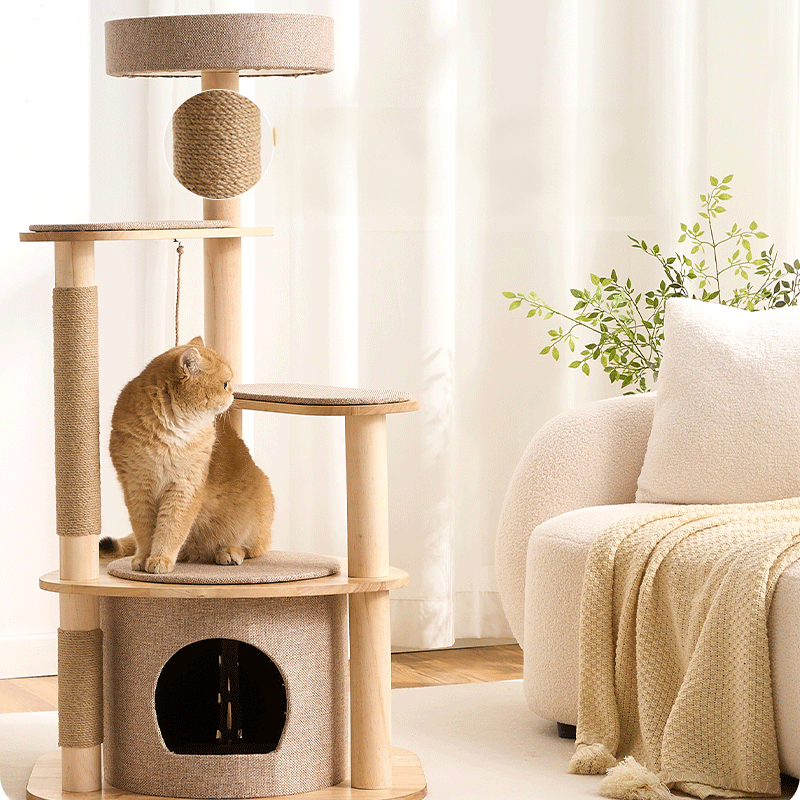 Large Pine Wood Cat Tree with Modern Cat Condo | T1 - Soldaypet