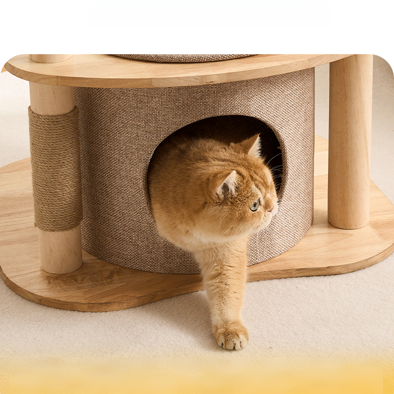 Large Pine Wood Cat Tree with Modern Cat Condo | T1 - Soldaypet