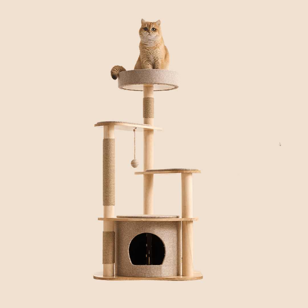 Large Pine Wood Cat Tree with Modern Cat Condo | T1 - Soldaypet