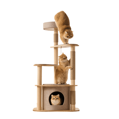 Large Pine Wood Cat Tree with Modern Cat Condo | T1 - Soldaypet
