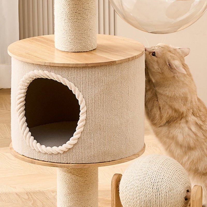 A light wood and durable cat tree with a round cat condo, scratching posts, and a hanging clear bowl, shown in a home setting with a fluffy orange cat interacting with it.