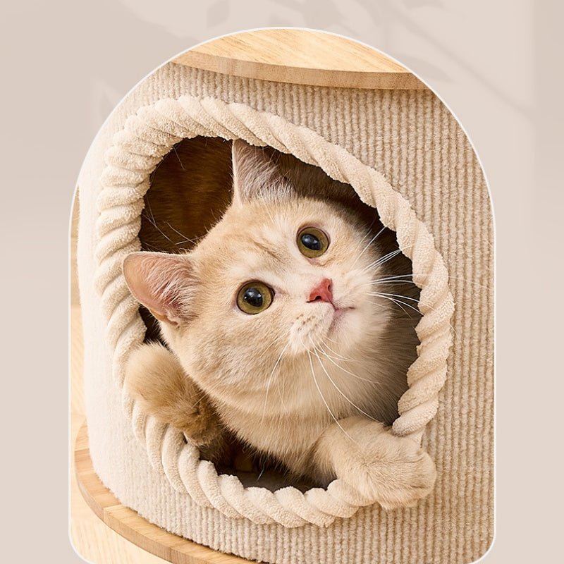 A cute cat peeking out of a round, rope-trimmed cat tree hide made of beige corduroy fabric, set against a light beige background.